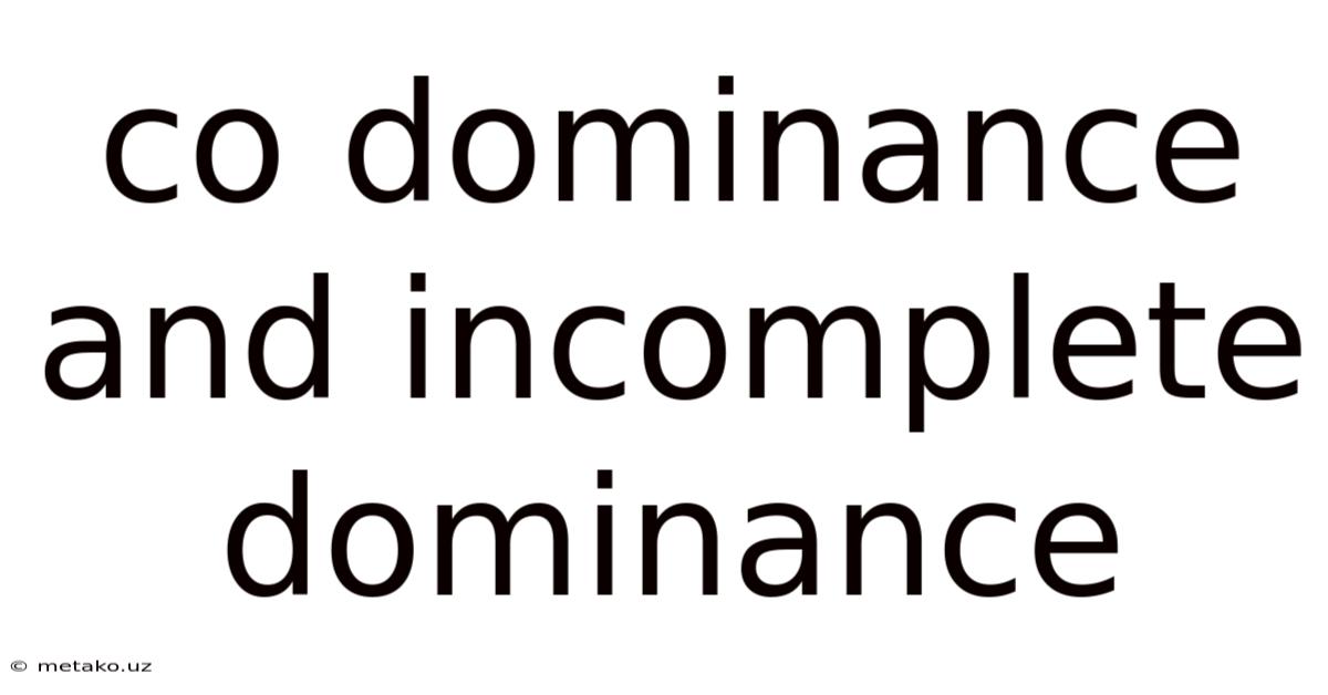 Co Dominance And Incomplete Dominance