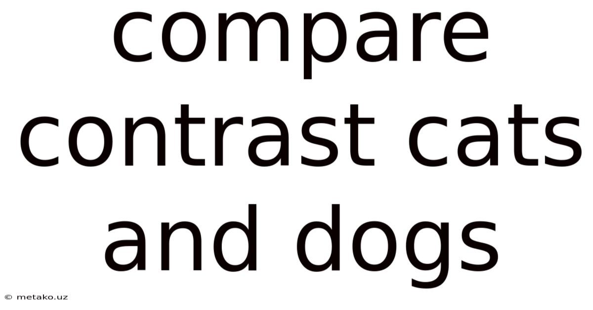 Compare Contrast Cats And Dogs