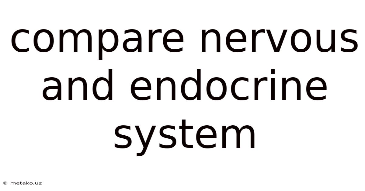 Compare Nervous And Endocrine System