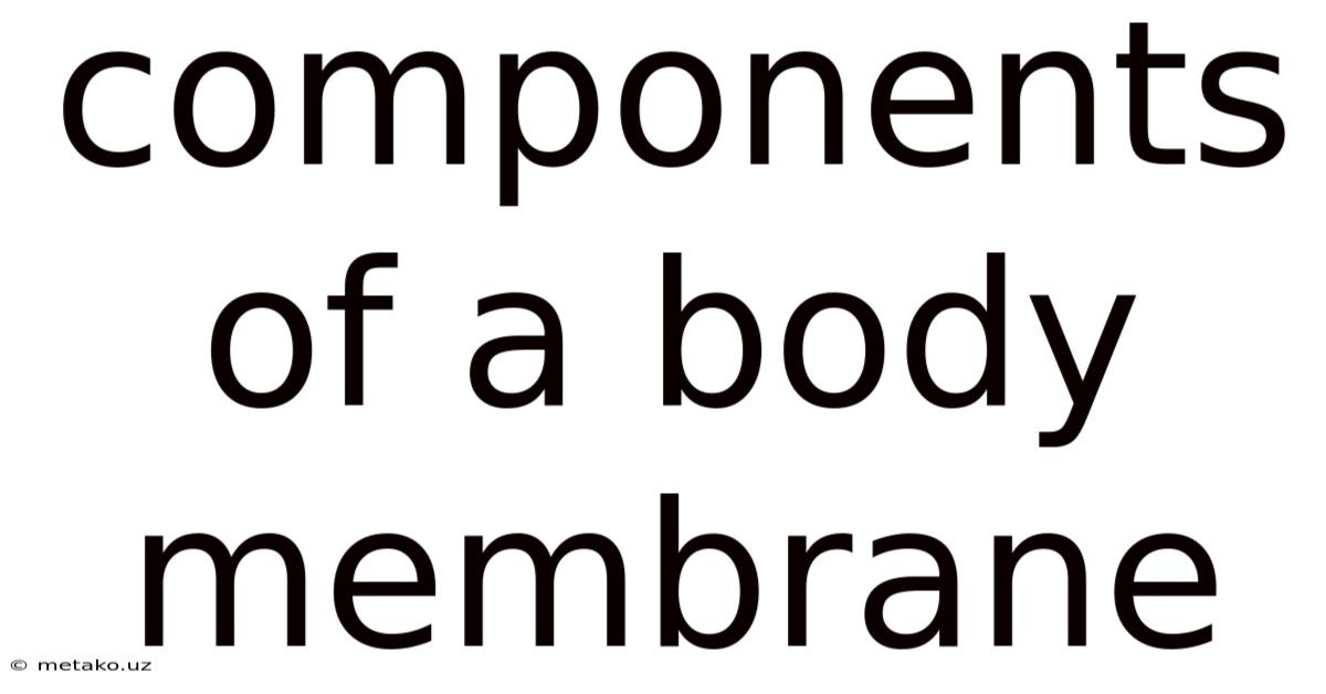 Components Of A Body Membrane