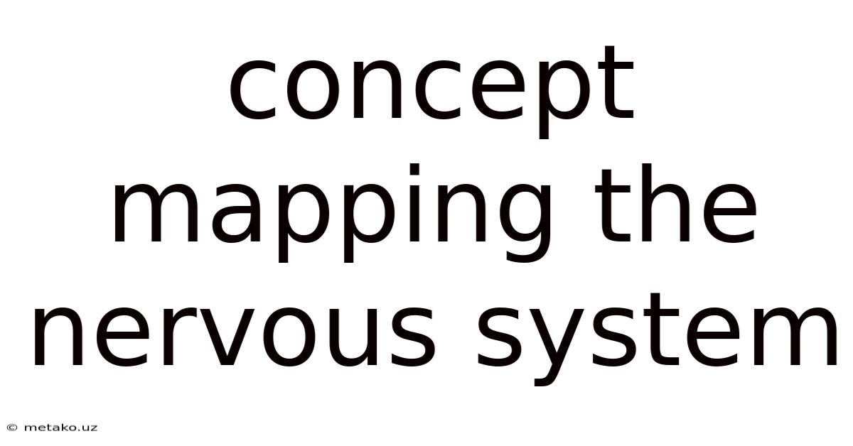 Concept Mapping The Nervous System