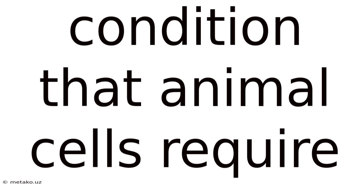 Condition That Animal Cells Require