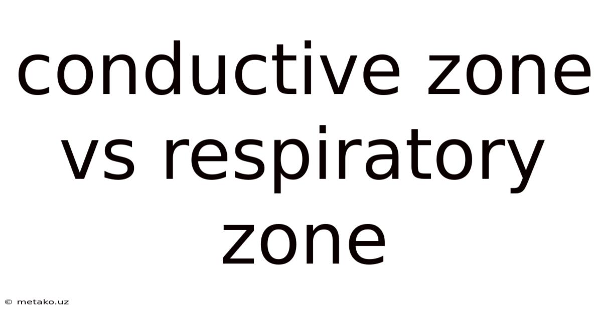 Conductive Zone Vs Respiratory Zone
