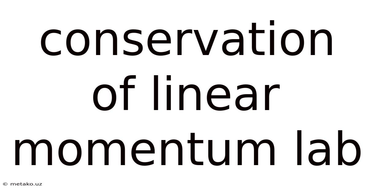 Conservation Of Linear Momentum Lab