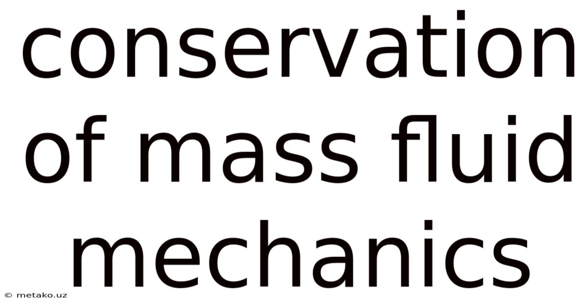 Conservation Of Mass Fluid Mechanics