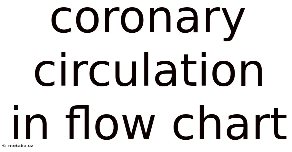 Coronary Circulation In Flow Chart