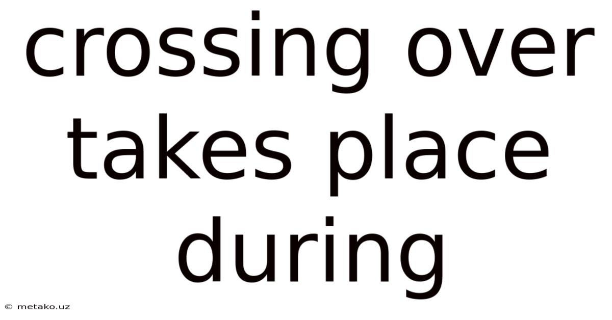 Crossing Over Takes Place During
