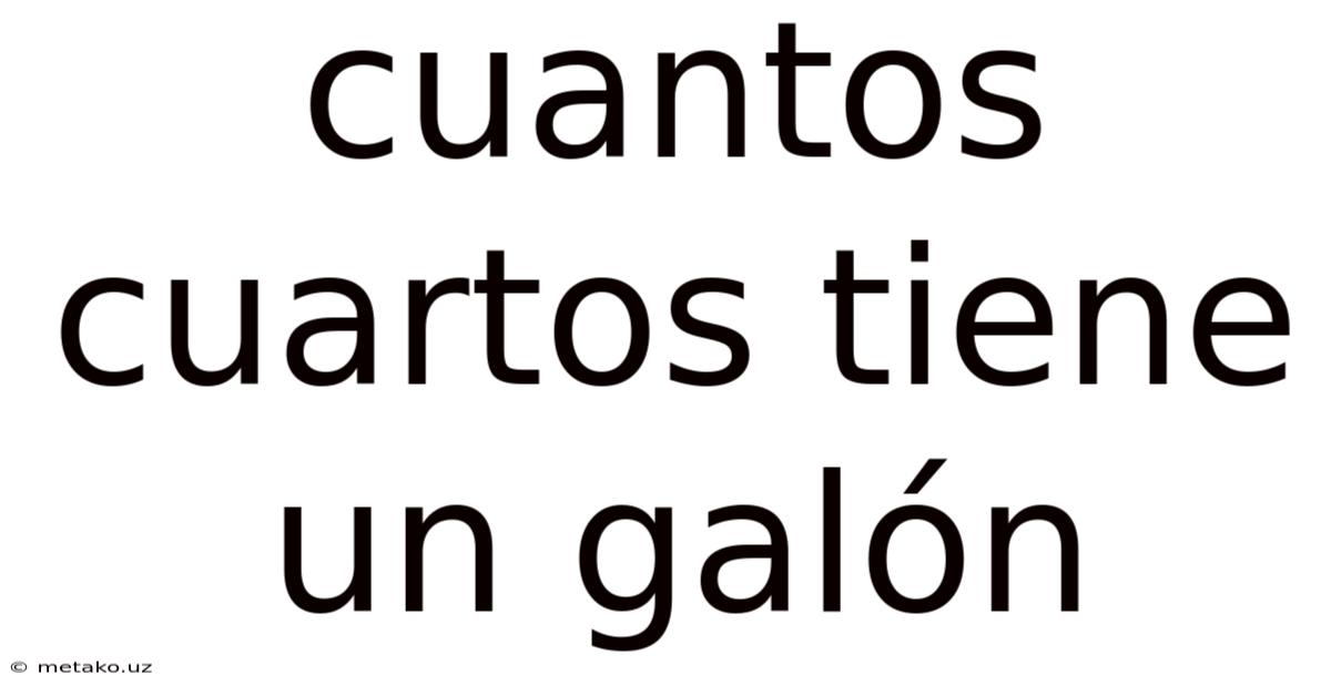Cuantos Cuartos Tiene Un Galón