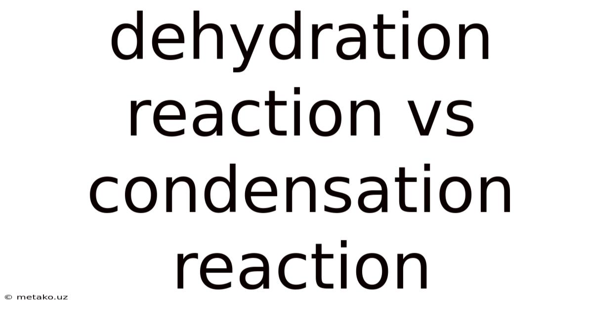Dehydration Reaction Vs Condensation Reaction