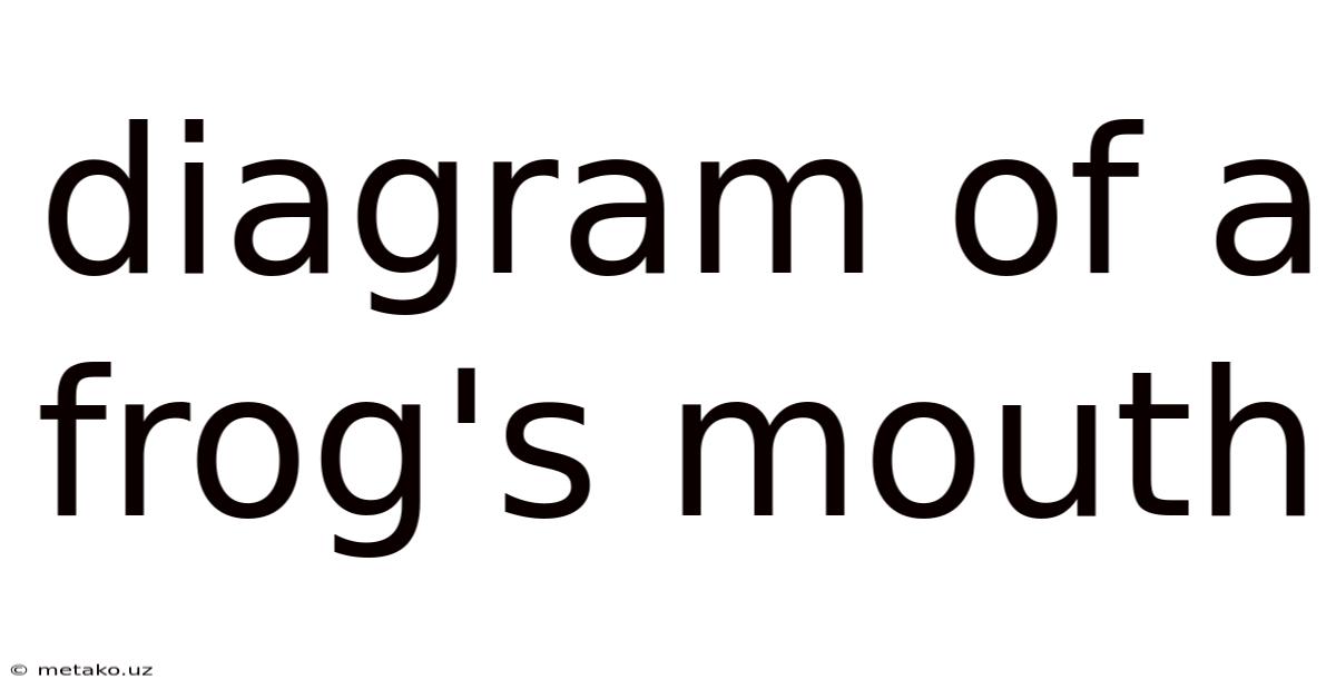 Diagram Of A Frog's Mouth