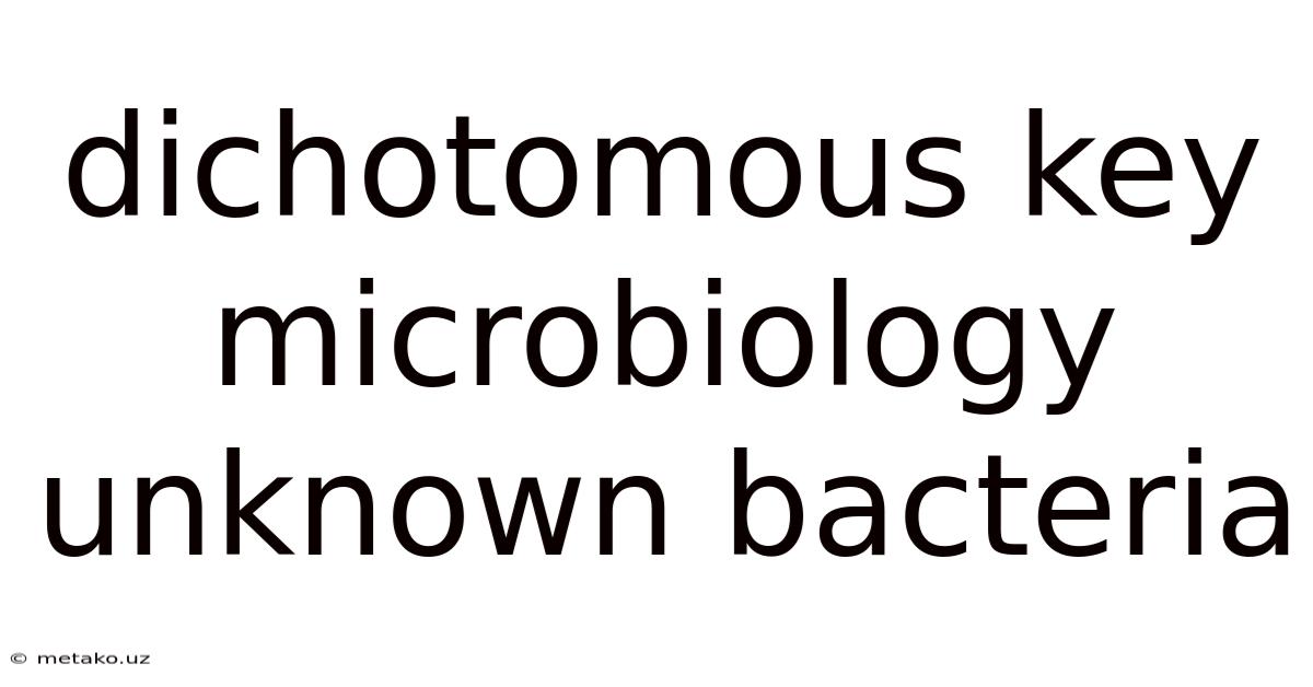 Dichotomous Key Microbiology Unknown Bacteria