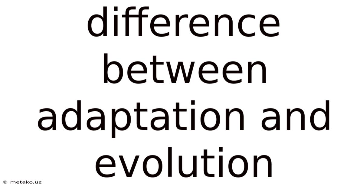 Difference Between Adaptation And Evolution