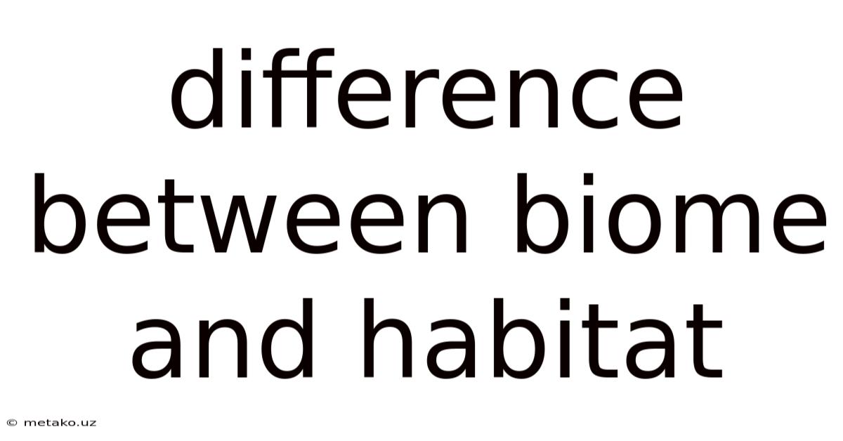 Difference Between Biome And Habitat