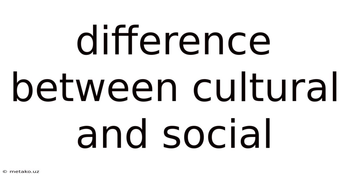 Difference Between Cultural And Social
