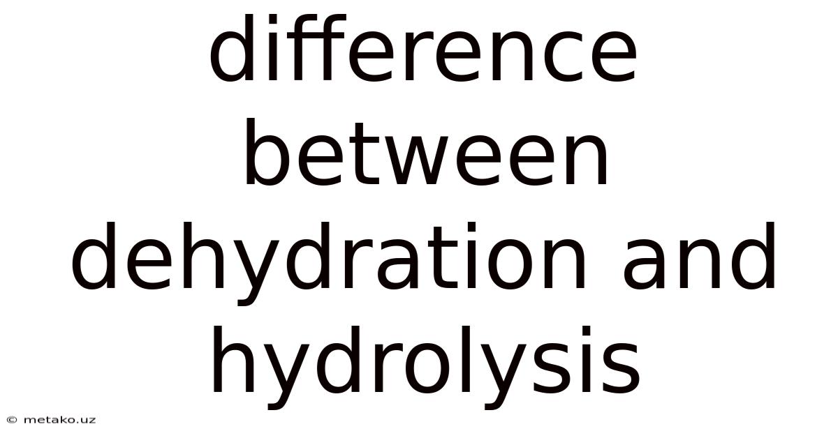 Difference Between Dehydration And Hydrolysis