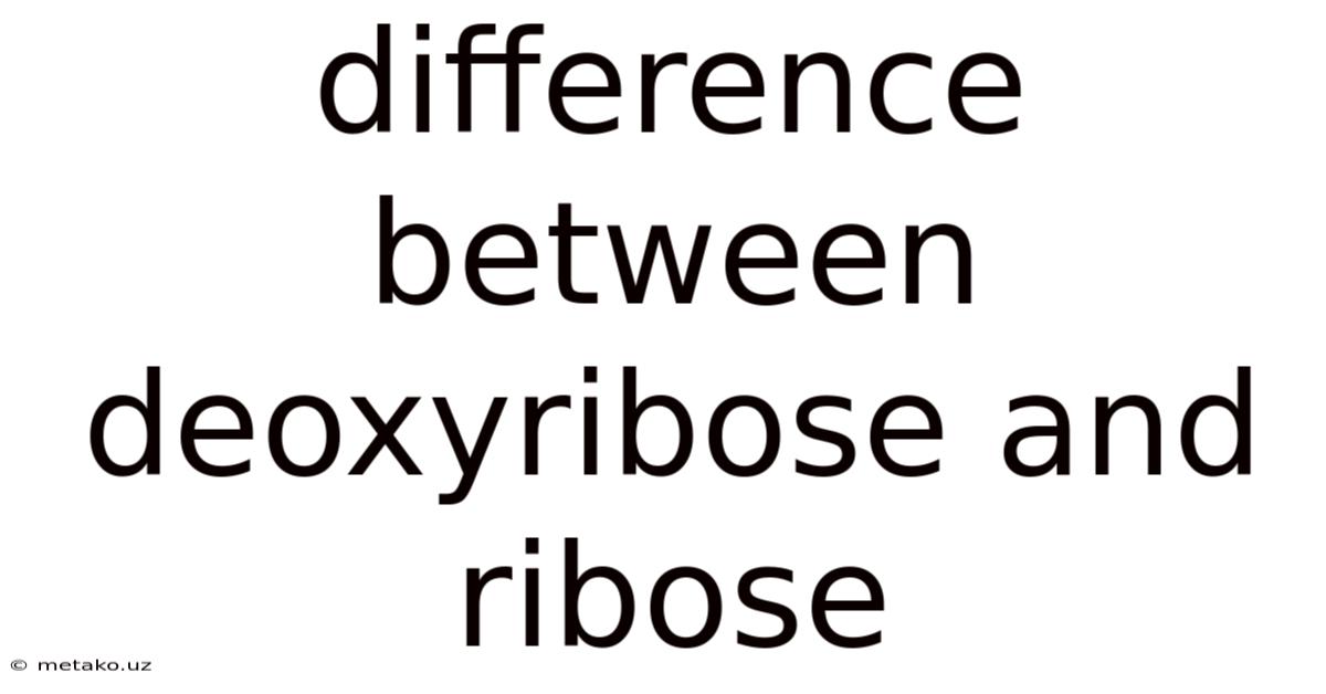 Difference Between Deoxyribose And Ribose