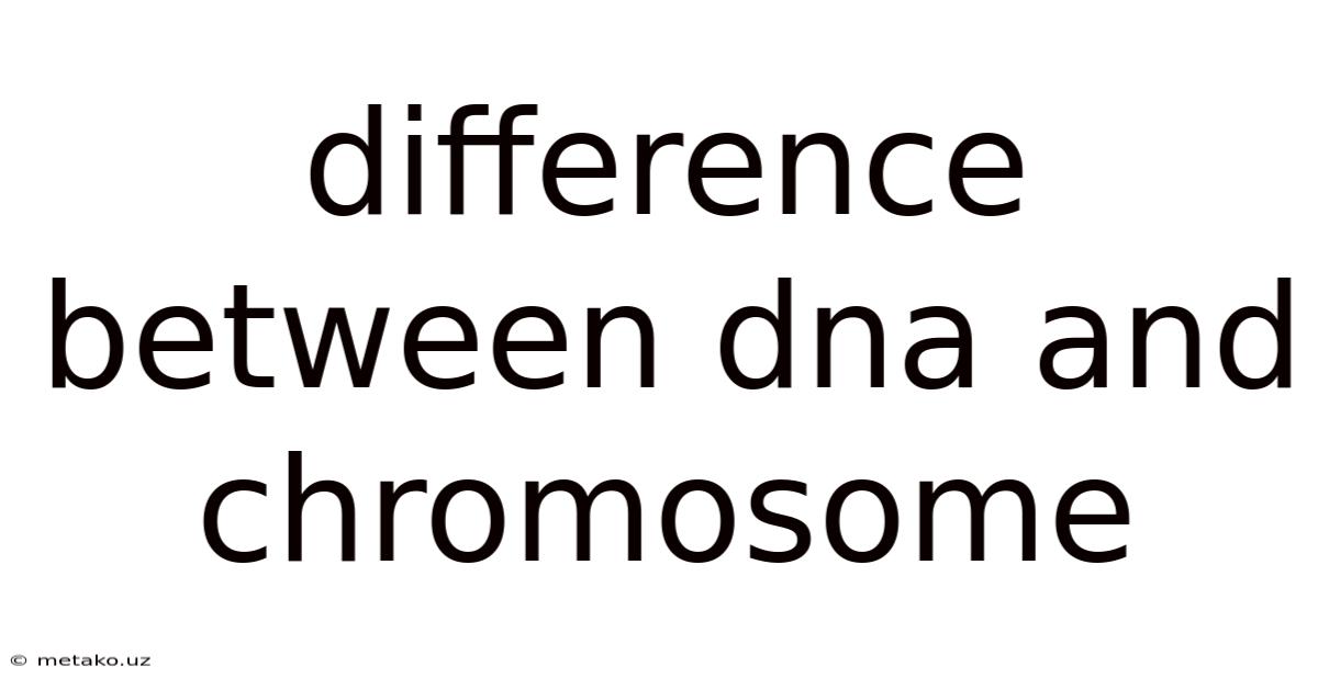Difference Between Dna And Chromosome