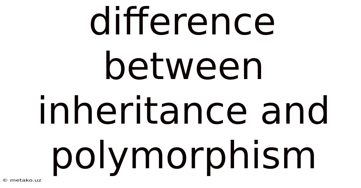 Difference Between Inheritance And Polymorphism