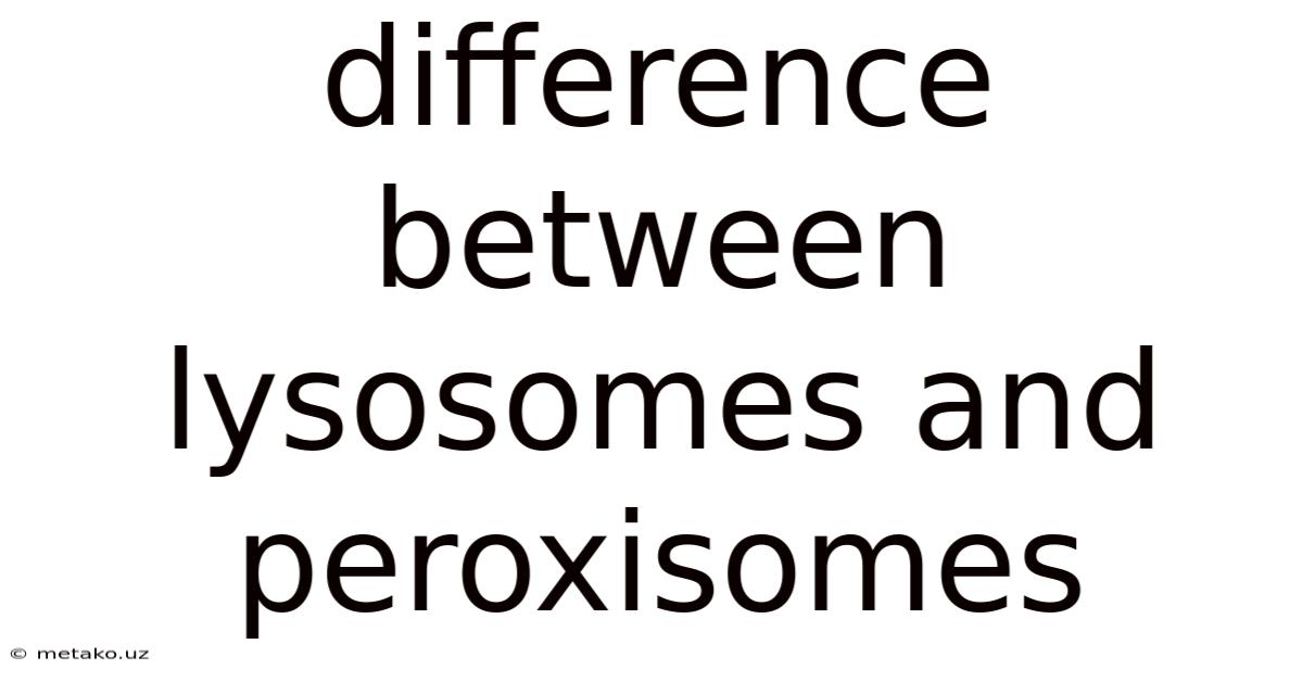Difference Between Lysosomes And Peroxisomes