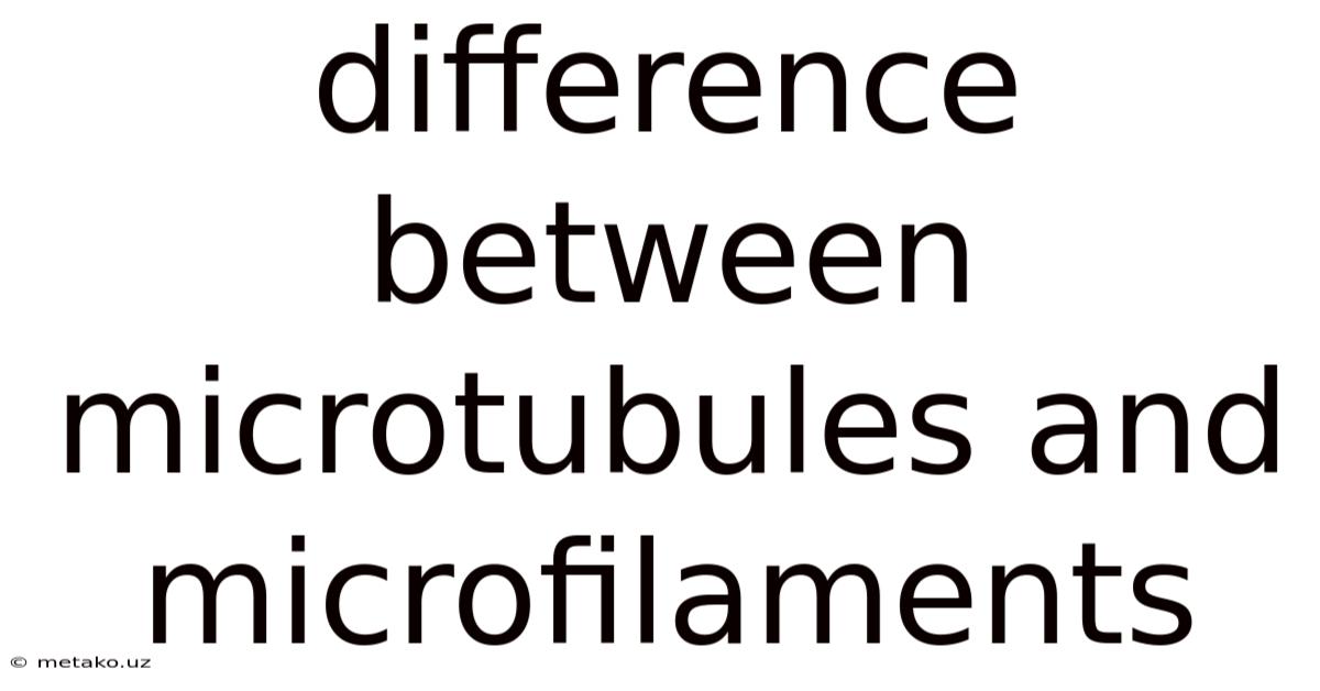 Difference Between Microtubules And Microfilaments
