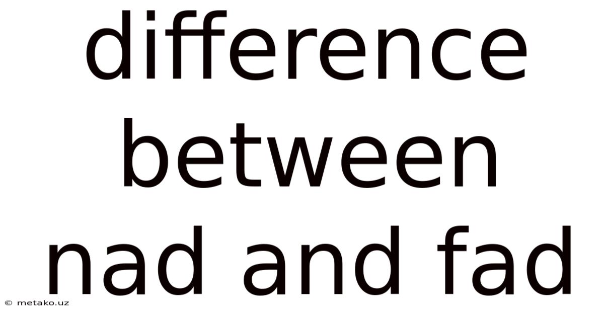 Difference Between Nad And Fad