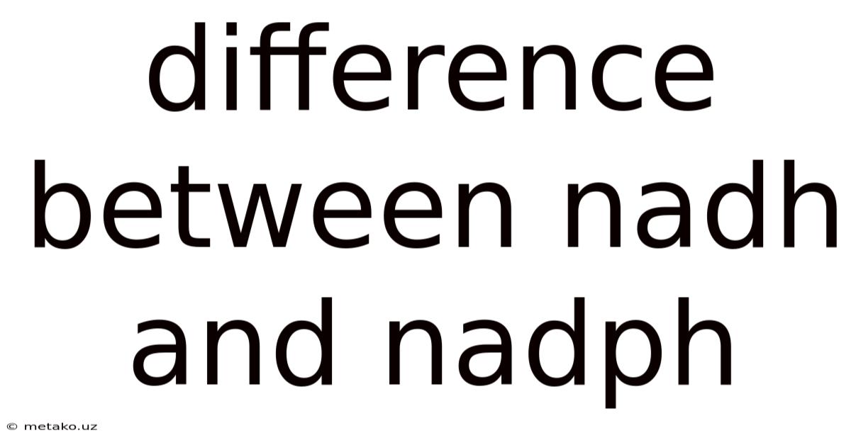 Difference Between Nadh And Nadph