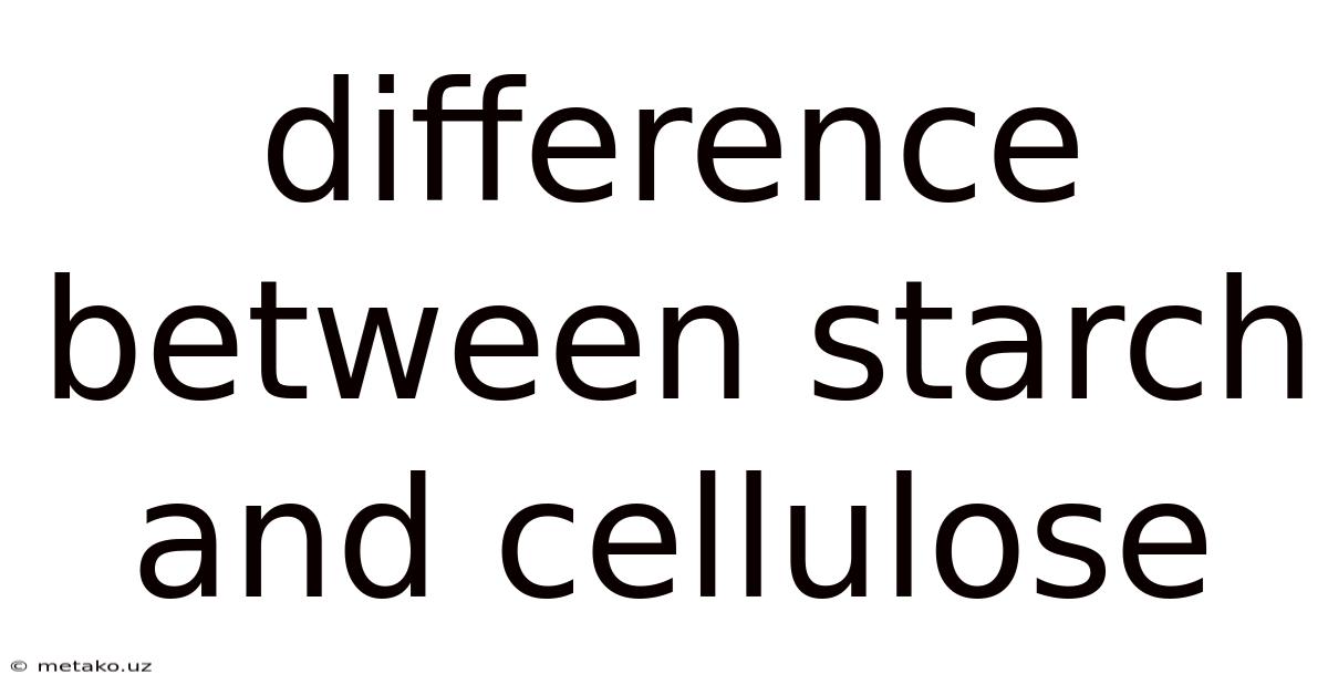 Difference Between Starch And Cellulose