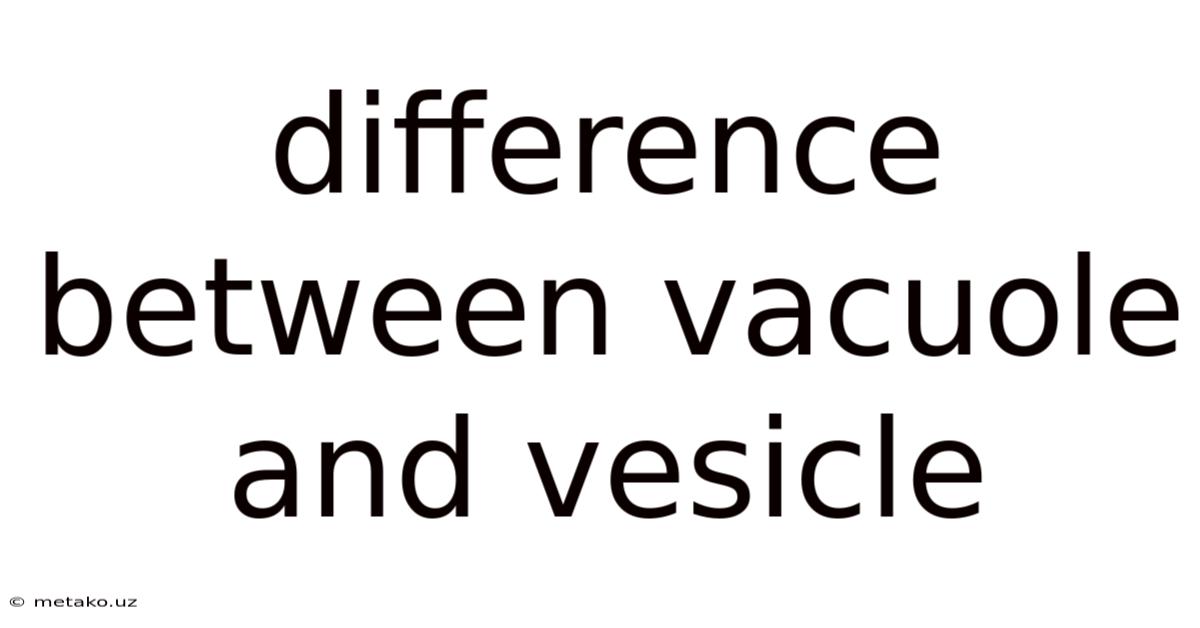 Difference Between Vacuole And Vesicle