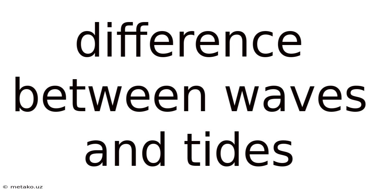 Difference Between Waves And Tides