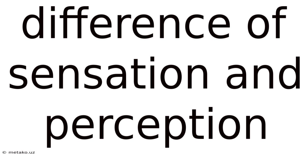 Difference Of Sensation And Perception