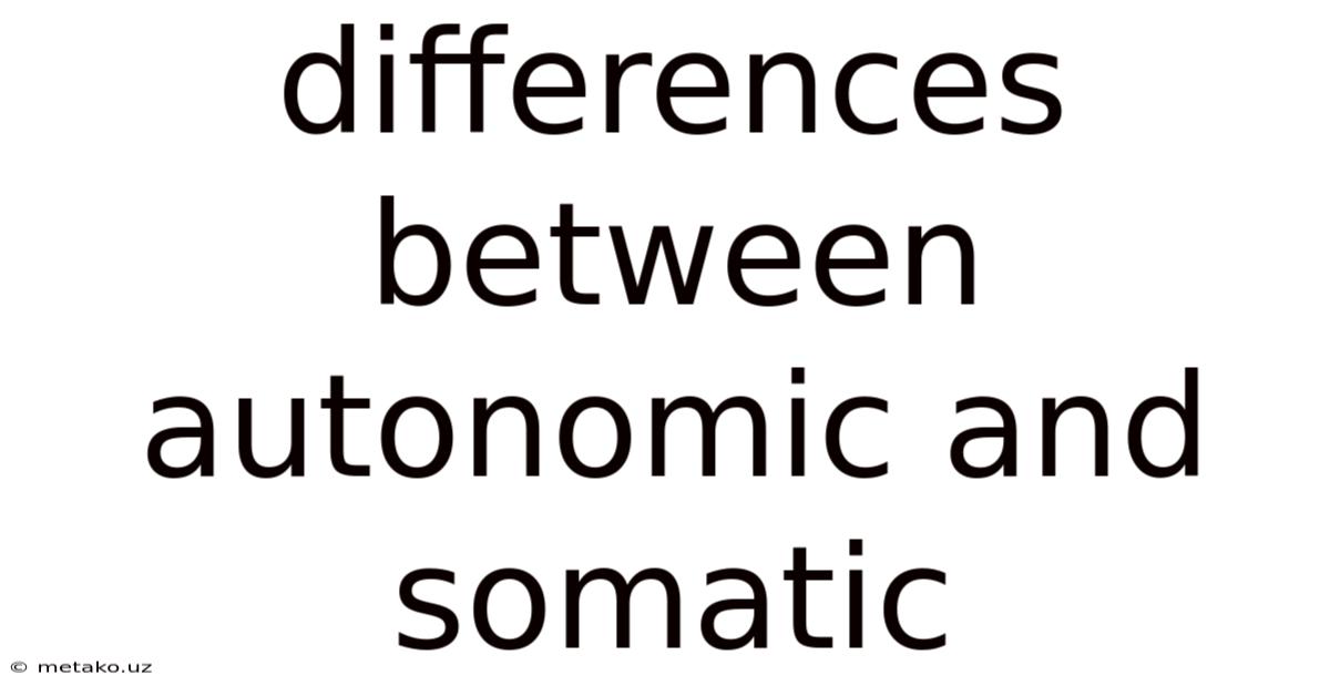 Differences Between Autonomic And Somatic