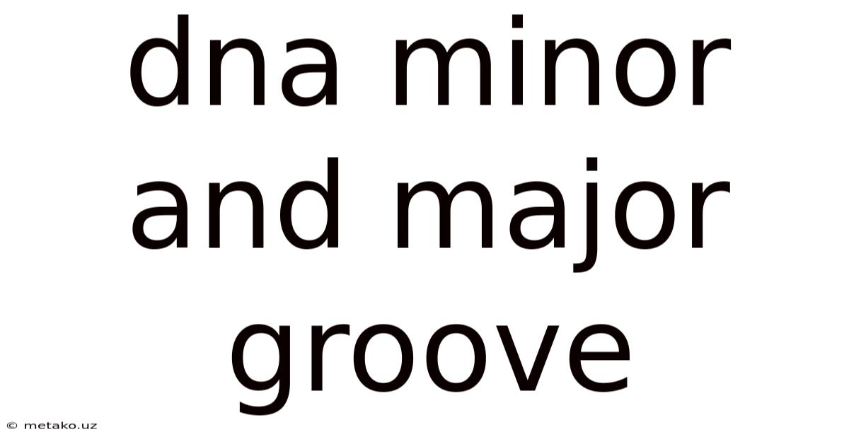Dna Minor And Major Groove