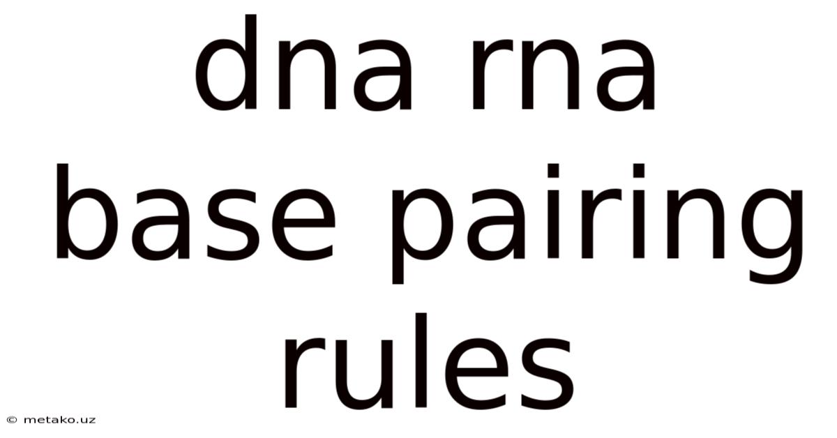 Dna Rna Base Pairing Rules
