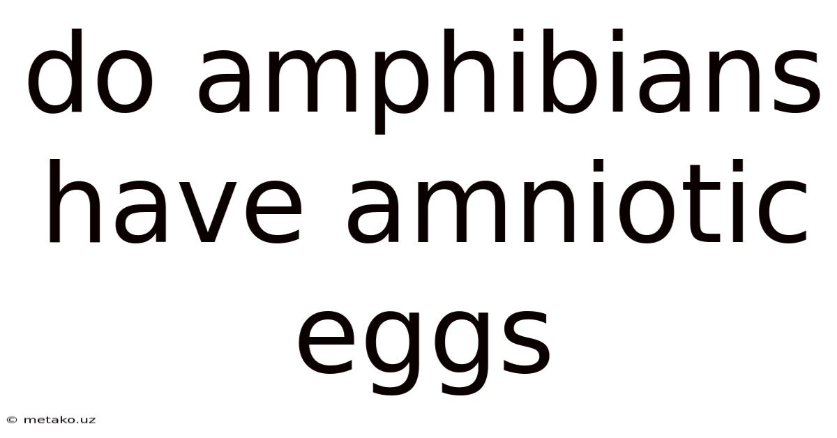 Do Amphibians Have Amniotic Eggs