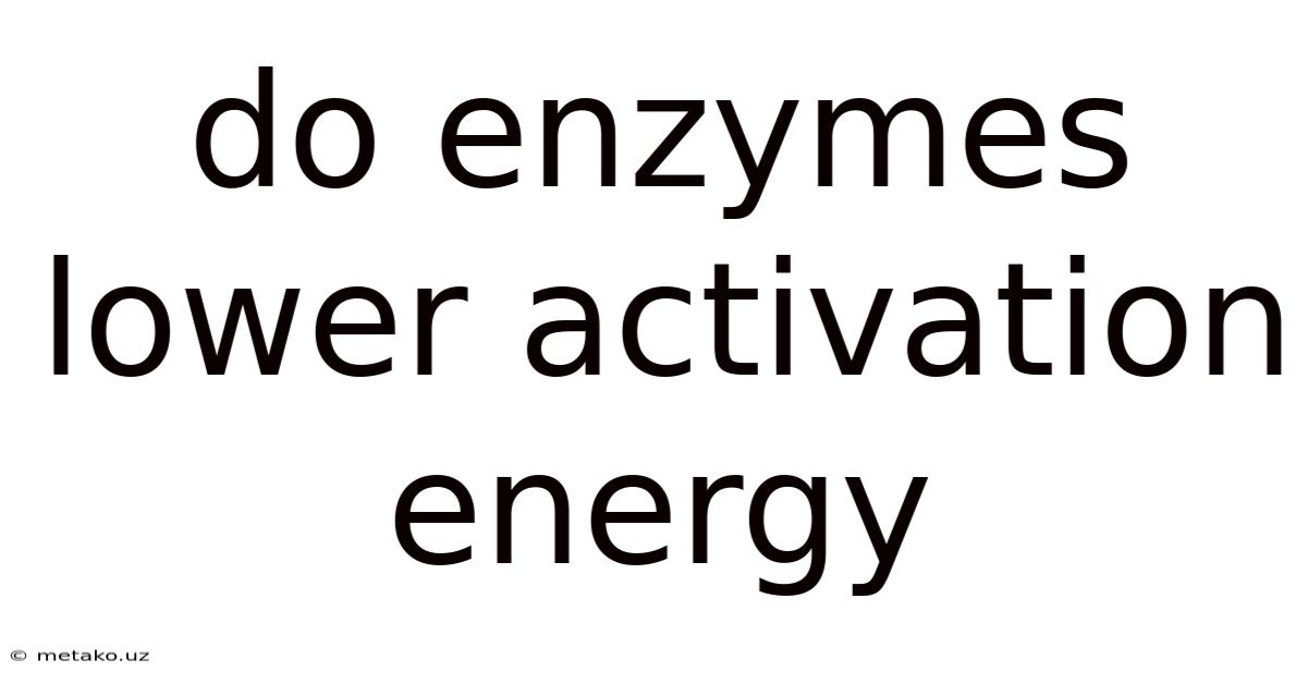 Do Enzymes Lower Activation Energy