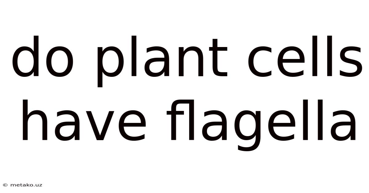 Do Plant Cells Have Flagella
