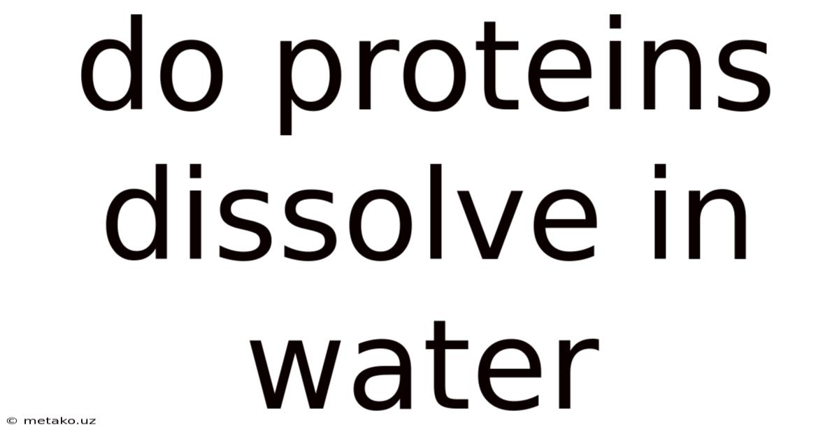 Do Proteins Dissolve In Water