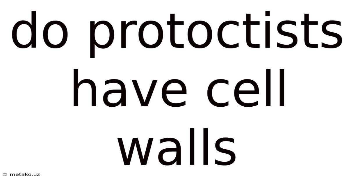 Do Protoctists Have Cell Walls