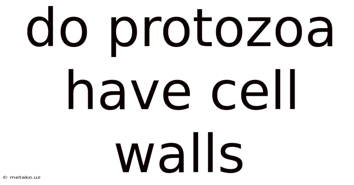 Do Protozoa Have Cell Walls