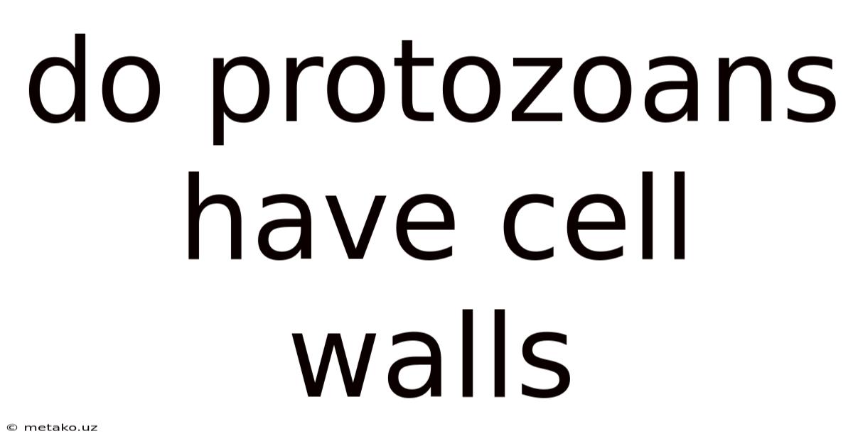 Do Protozoans Have Cell Walls