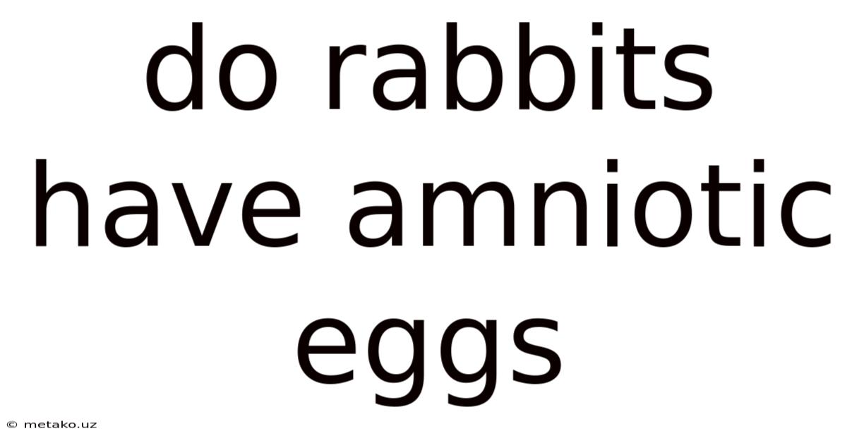Do Rabbits Have Amniotic Eggs