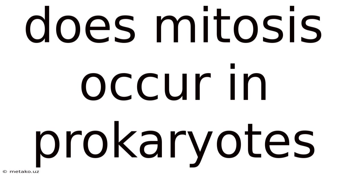 Does Mitosis Occur In Prokaryotes