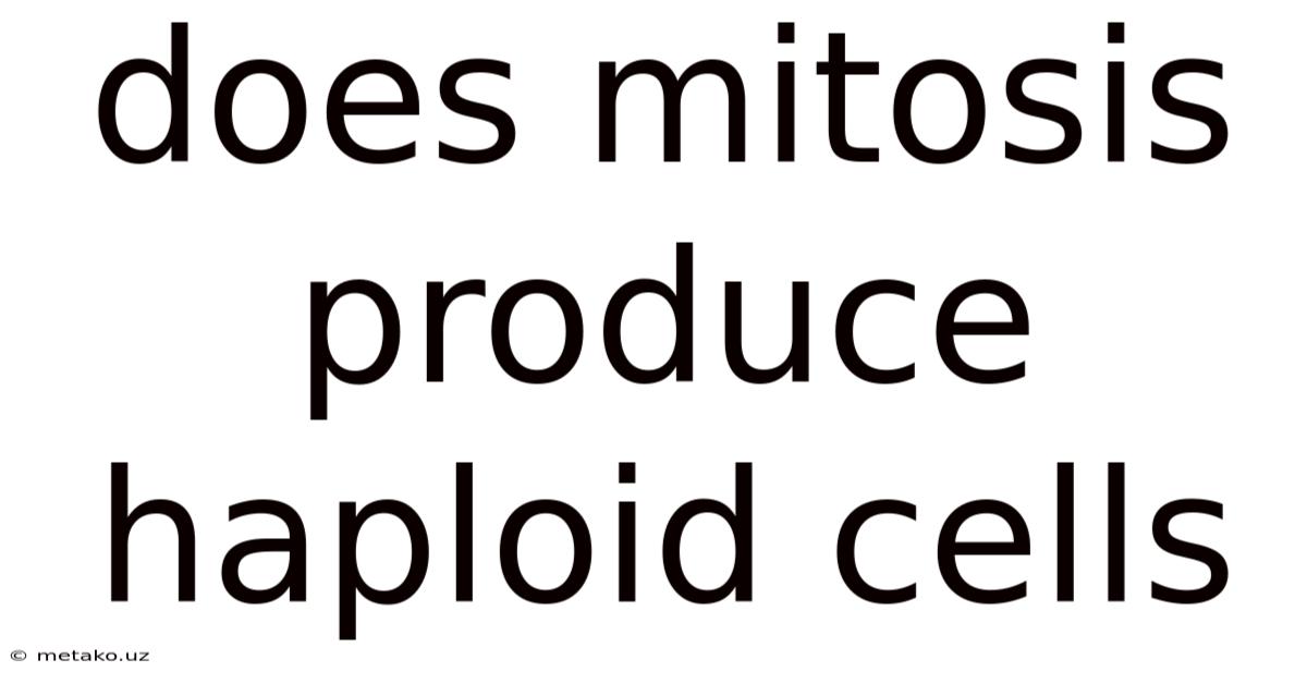 Does Mitosis Produce Haploid Cells