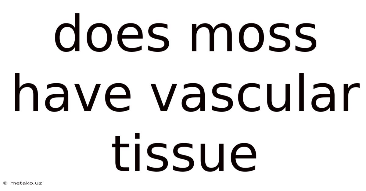 Does Moss Have Vascular Tissue
