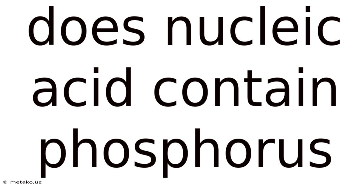 Does Nucleic Acid Contain Phosphorus