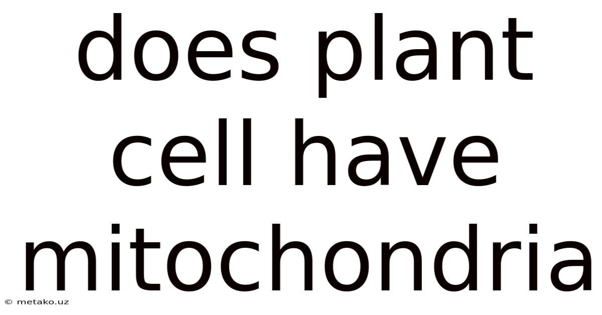 Does Plant Cell Have Mitochondria