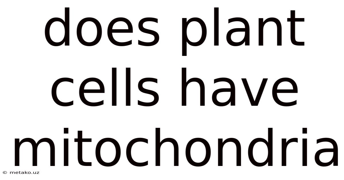 Does Plant Cells Have Mitochondria