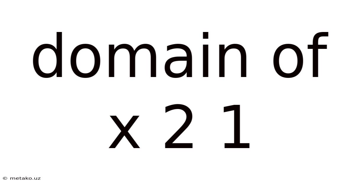 Domain Of X 2 1