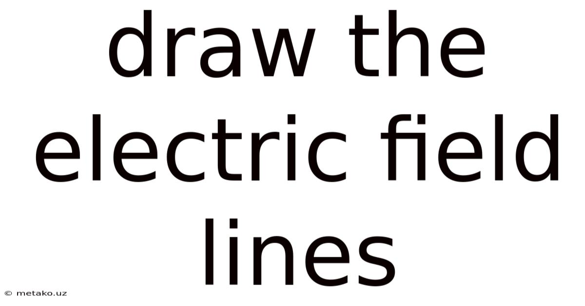 Draw The Electric Field Lines