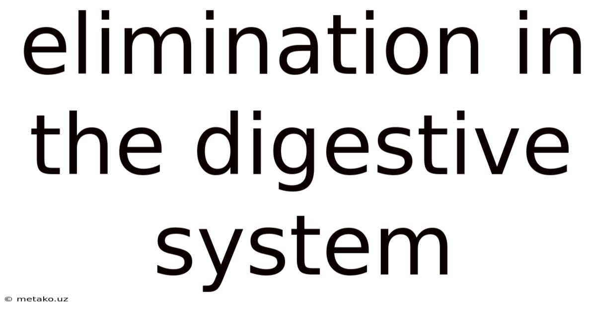 Elimination In The Digestive System